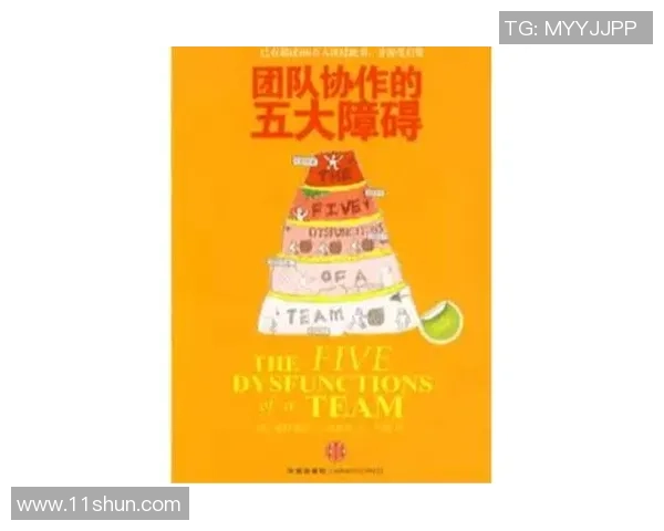 成都攀岩队团队协作的独特优势与其他队伍的对比分析